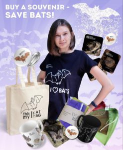 Buy a souvenir - save bats!