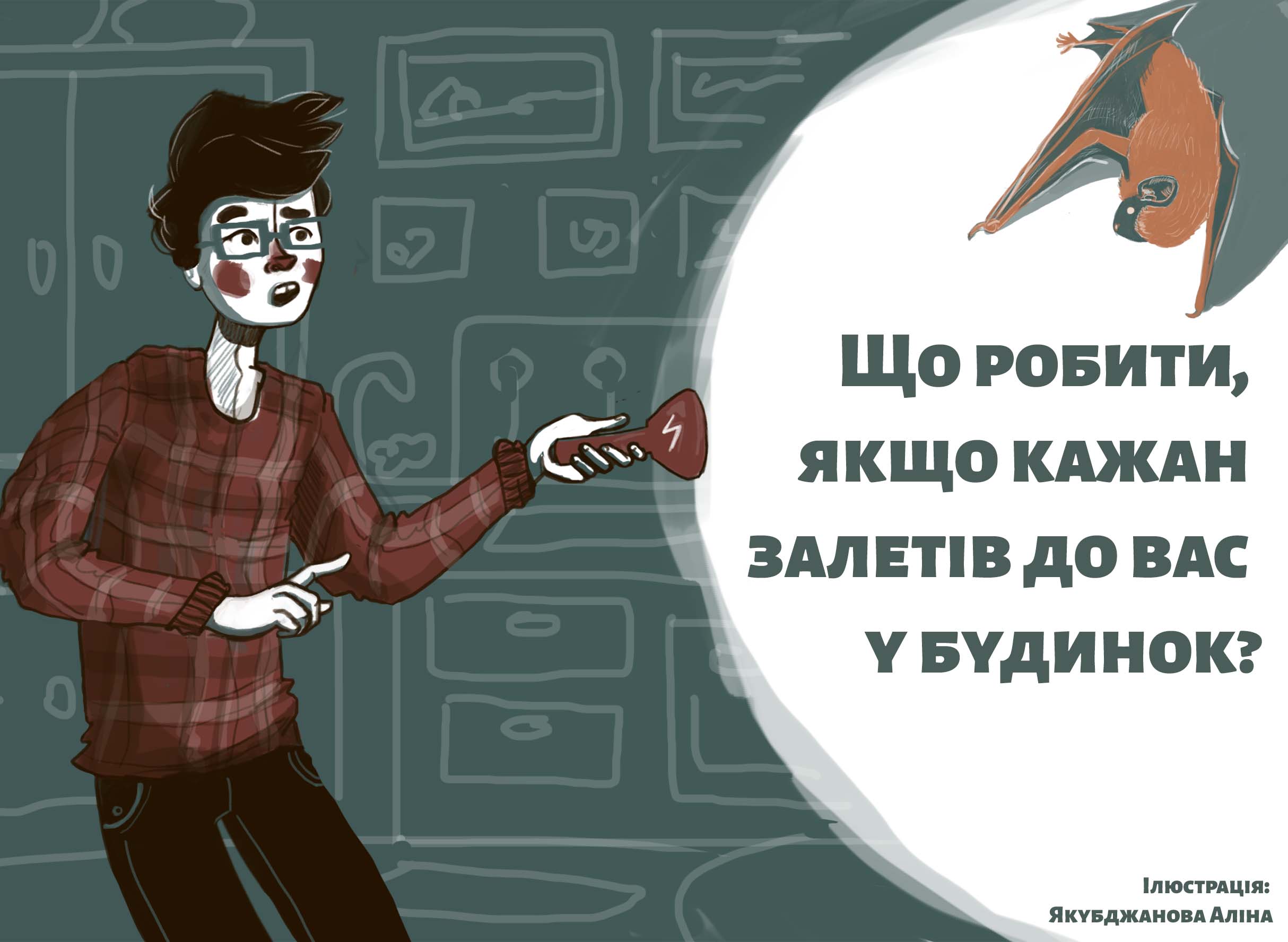 Вопросы и ответы о летучих мышах - Украинский центр реабилитации рукокрылых